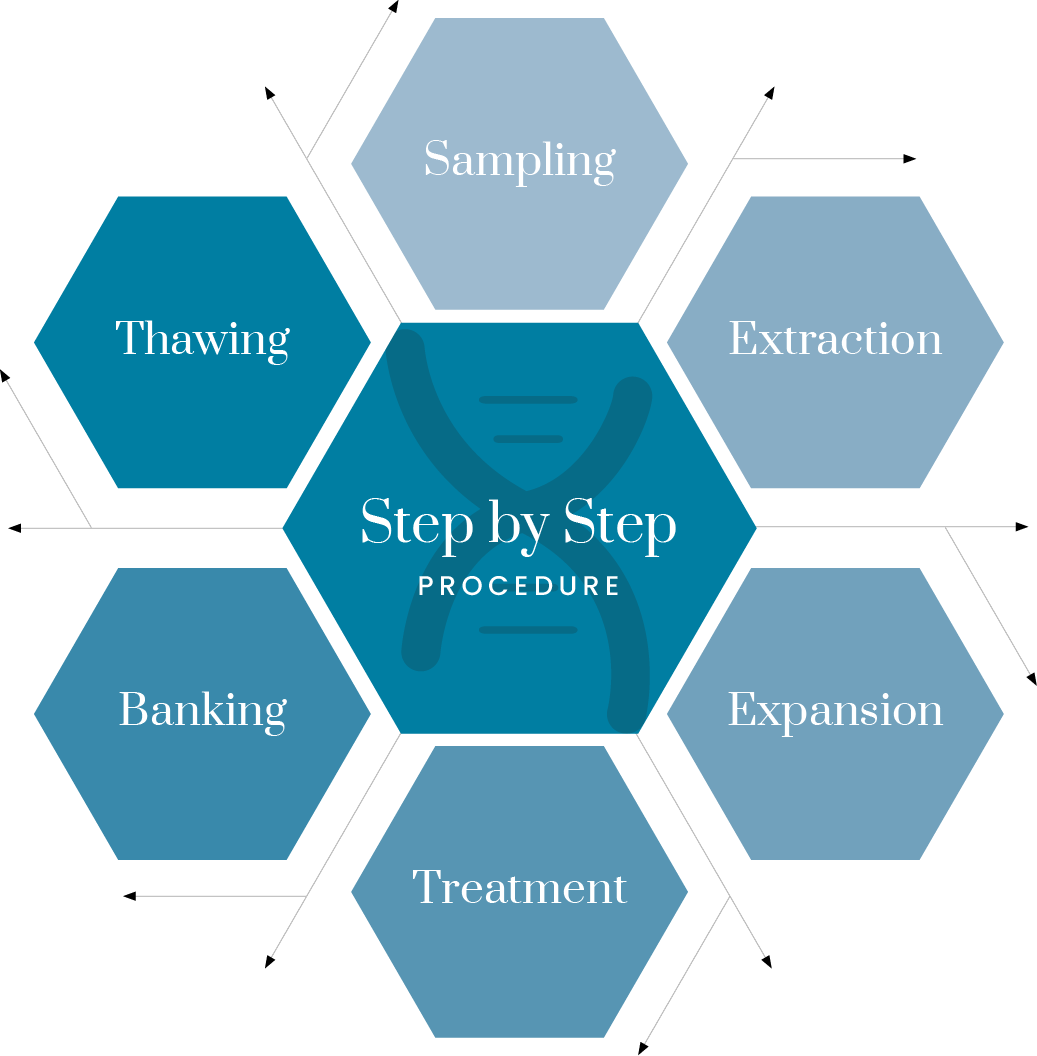 Stem Cell Procedure